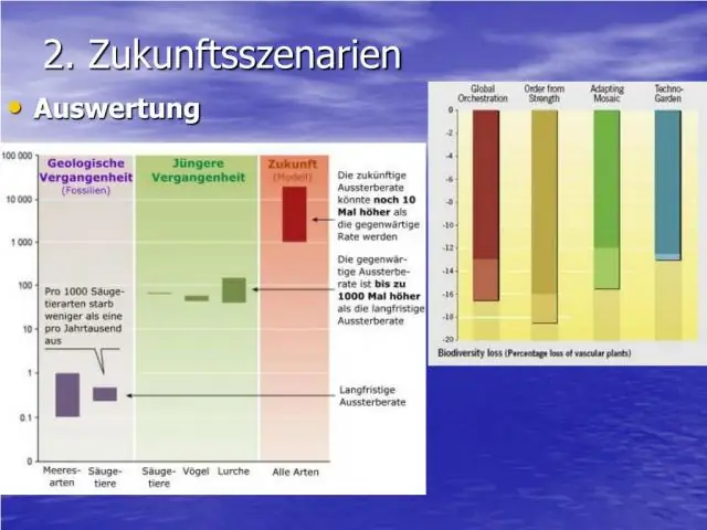 Проблемы включения экономических перспектив и фактических данных в Кокрановские обзоры