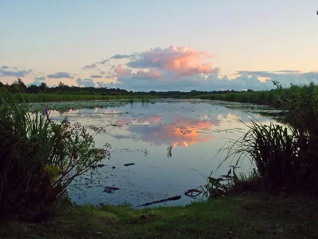 Влияние статуса медицинского страхования среди мигрантов из стран Африки, расположенных к югу от Сахары, на доступ к медицинскому обслуживанию и тестированию на ВИЧ в Германии: пер