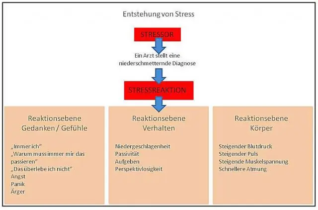 Появление трех моделей заключения контрактов с врачом общей практики в Южной Африке: качественное мульти-тематическое исследование