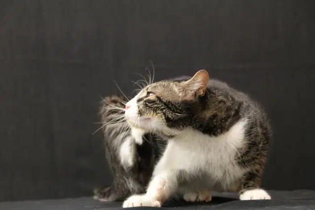 Прогресс в спондилоартрите. Спондилоартрит: уроки визуализации