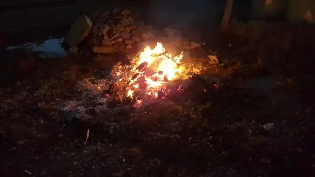 Существует ли связь между экстракраниальной венозной системой и патологией центральной нервной системы?