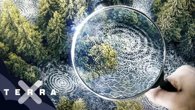 Случайные леса для анализа вербального вскрытия: многоузловое валидационное исследование с использованием клинических диагностических золотых стандартов