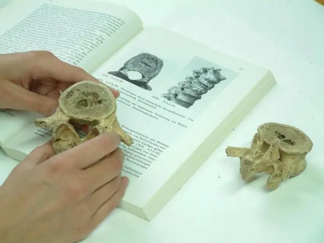 Распознавание болезней и поиск помощи при осложнениях у матери и новорожденного в сельских районах восточной части Уганды