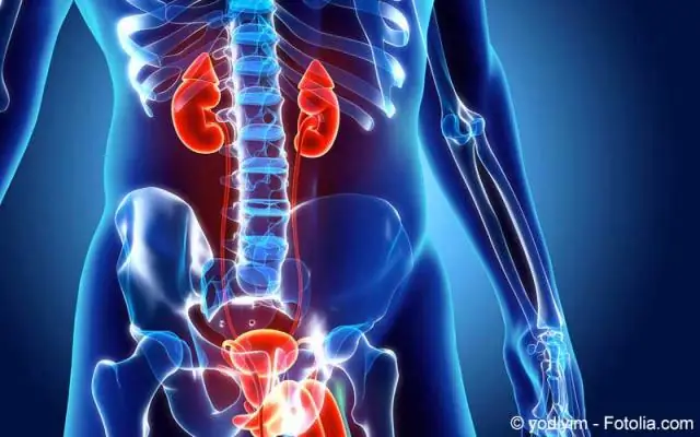 Четкие клинические, нейровизуальные и генетические профили поздних дефектов кобаламина С (cb1C): отчет о 16 случаях в Китае