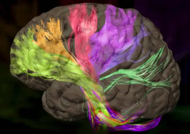 Визуализация гепатоцеллюлярной карциномы и терапия с использованием изображений - как мы это делаем
