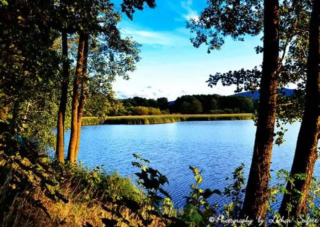 Об использовании H-индекса в оценке химических исследований