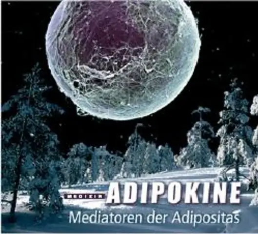 Отсутствие ассоциации между полиморфизмом Rs540782 и первичной открытоугольной глаукомой у саудовских пациентов