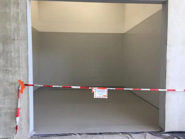 Антимикробная активность клеток HL-60 по сравнению с первичными нейтрофилами, полученными из крови, против Staphylococcus Aureus