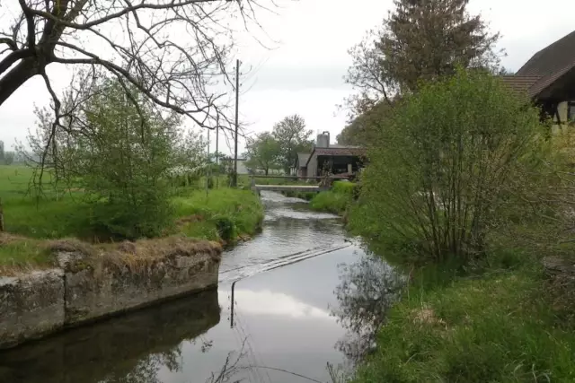 Эффективность и экономическая эффективность многокомпонентного вмешательства для реализации руководства по клинической практике для системной красной волчанки: протокол для кластер