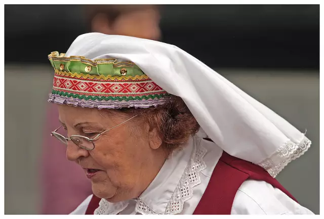 Ресурсы лесной биомассы Литвы: правовые, экономические и экологические аспекты их использования и потенциал