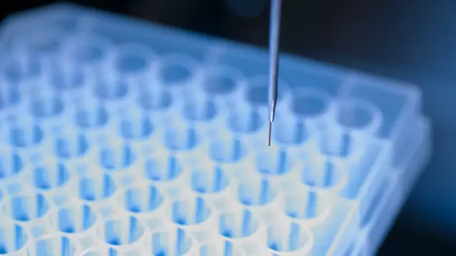 Лигирование тетразина для химической протеомики