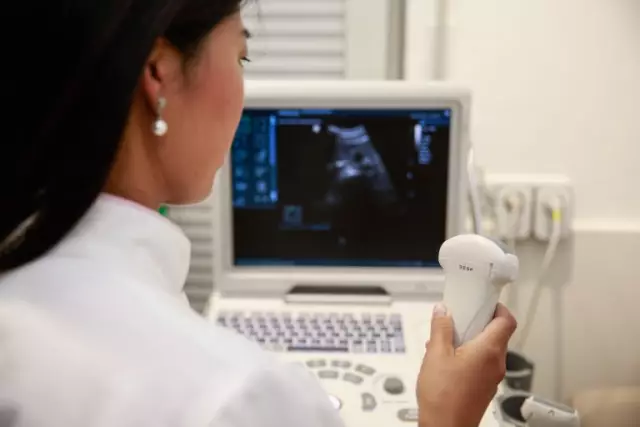 GrainScan: недорогой, быстрый метод для измерения размера зерна и цвета