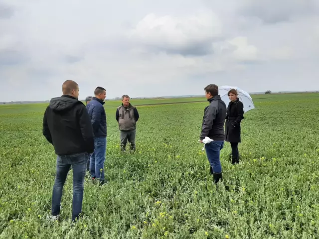 Влияние системы показателей сообщества на улучшение местной системы здравоохранения в Восточной Демократической Республике Конго: качественные данные с использованием метода наибол