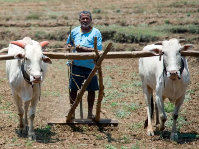 Работники общественного здравоохранения в сельской местности Индии: анализ возможностей и проблем, с которыми сталкиваются аккредитованные активисты социального здравоохранения (AS