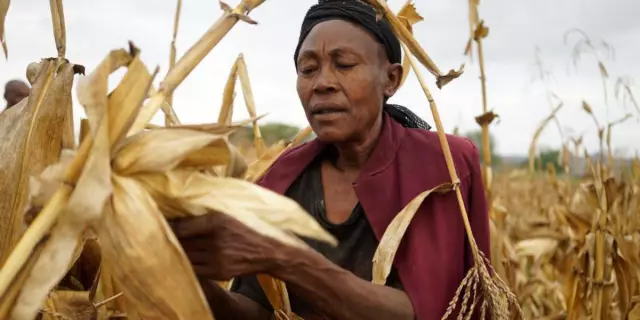 Региональное партнерство стран Африки к югу от Сахары (SHARP) по созданию потенциала в области психического здоровья: программный протокол для создания научно-исследовательского по