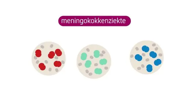 Менингококковый - Публикации