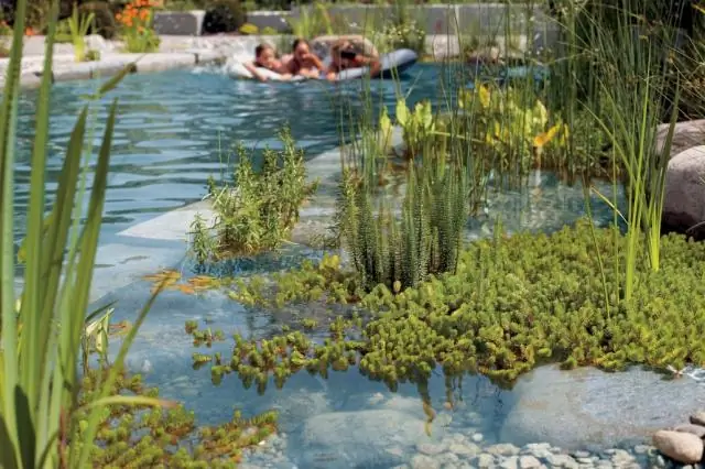 Публикации по темам - Программа безопасности лекарств