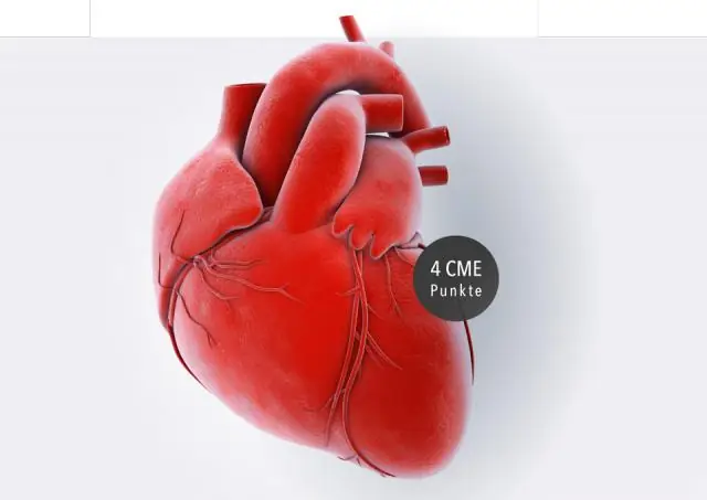Курсы по непрерывному медицинскому образованию (CME)