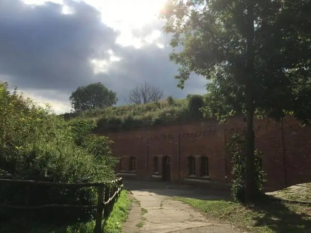 Первоначальное интервью пациента с пациентом - FoodCORE