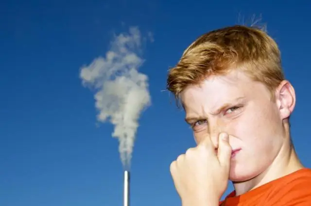 Распространенность детской астмы по штатам / территориям