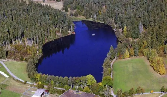 Июнь ZOHU Call - Одно здоровье