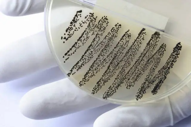 Что такое здоровье населения? Программа обучения здоровья населения на месте (PH-TIPP)