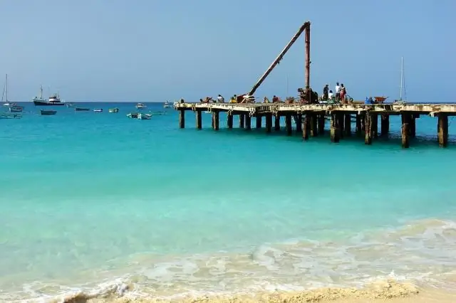 Коклюш - Беременность и коклюш - Вашему ребенку нужны вакцины вовремя