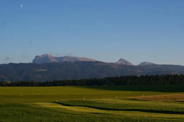 Серебряная тень от 10 мая до 24 мая года - Программа санитарной обработки судов