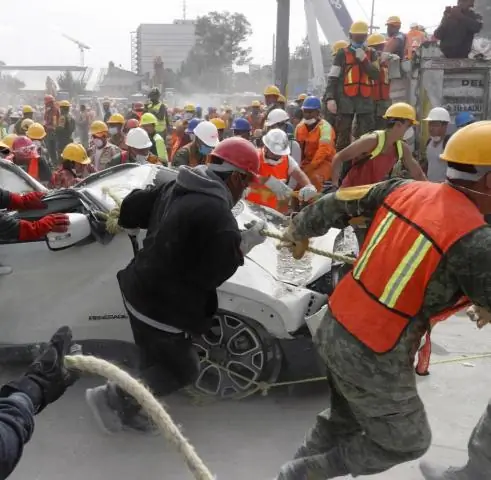 Реагирование и очистка после цунами