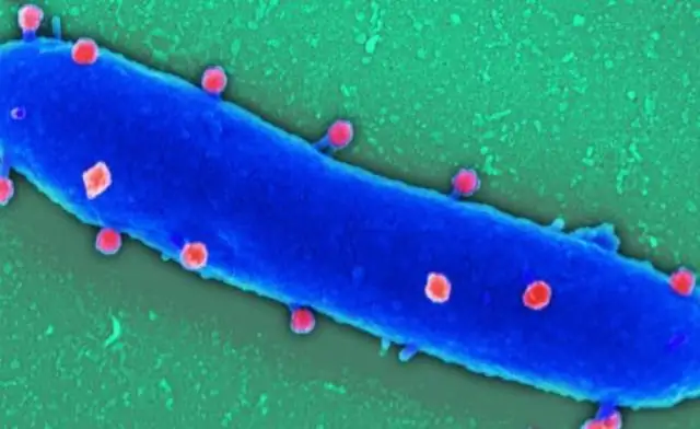 Портал антибиотикорезистентности и безопасности пациентов