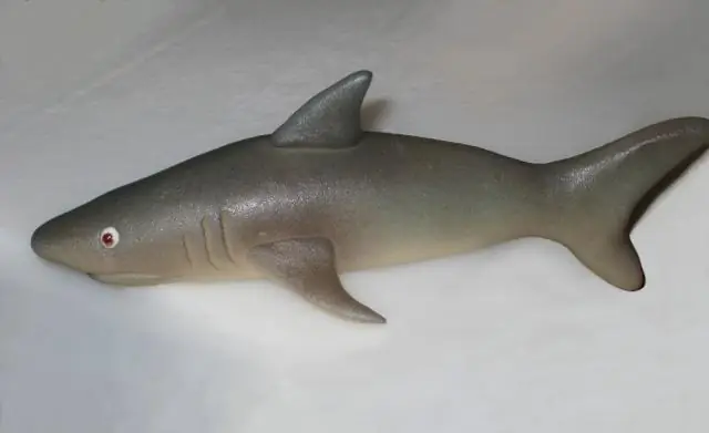 Отчет SIR года - HAI