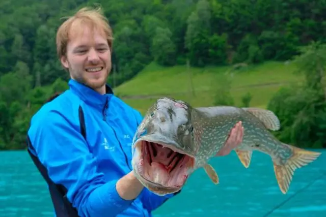 Часто задаваемые вопросы о пневмонии, связанной с вентилятором - HAI