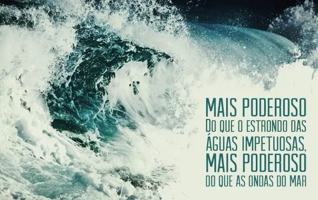 Вспышка сальмонеллезной инфекции, связанной с нарезанными фруктами - Вспышка сальмонеллезной инфекции, связанной с нарезанными фруктами - Декабрь - сальмонелла