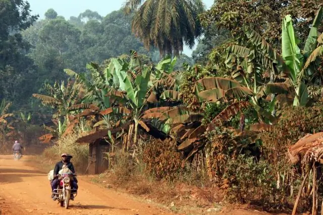 Тестирование на туберкулезную инфекцию