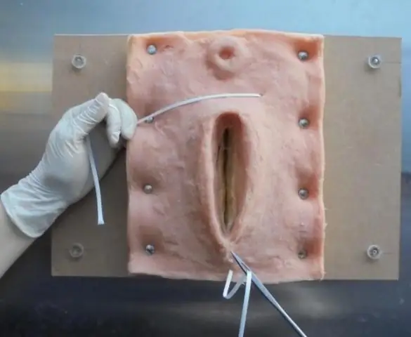 Завершенные и текущие исследования TBTC