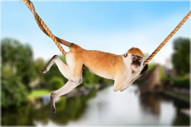 Вакцины во время и после беременности