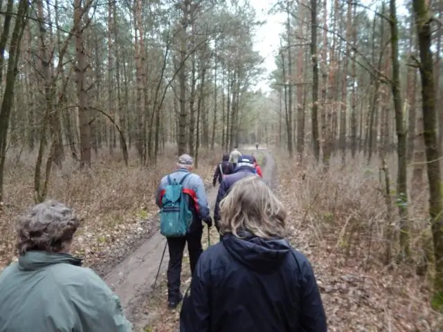 Штаммы вируса гриппа демонстрируют повышенную лекарственную устойчивость и способность к распространению