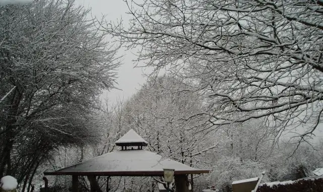 3 способа стать здоровее за 14 дней