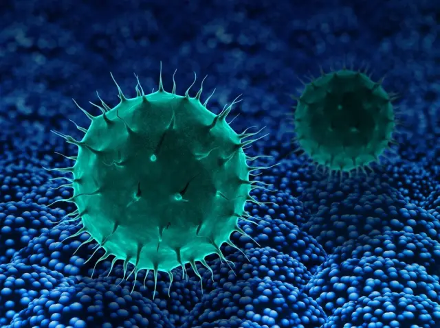 Осложнения стрептококкового горла и способы их предотвращения