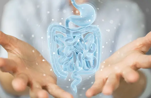 Что такое болезнь Уиппла? Симптомы, причины, диагностика, лечение и профилактика