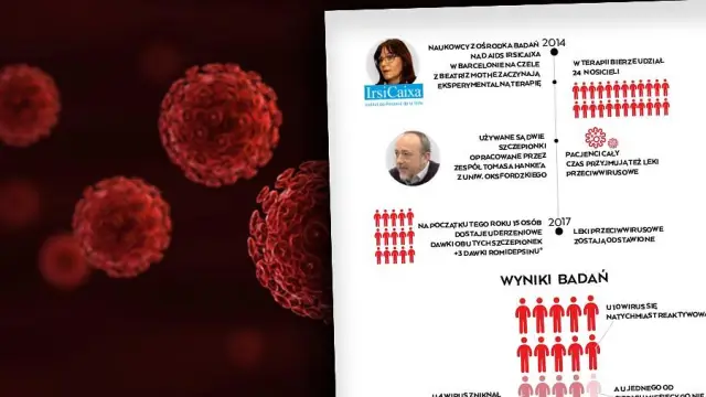 Что такое ВИЧ? Симптомы, причины, диагностика, лечение и профилактика