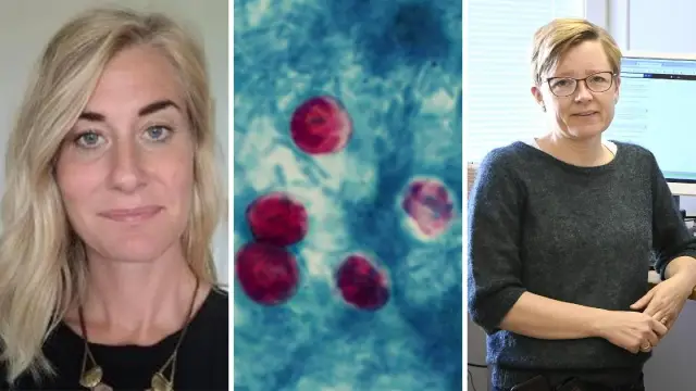 Боль в животе после еды: помогает ли ликер пищеварению?