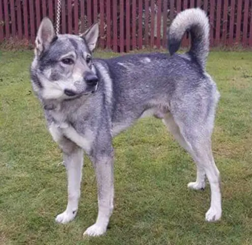 Запланирована выставка по гомеопатии