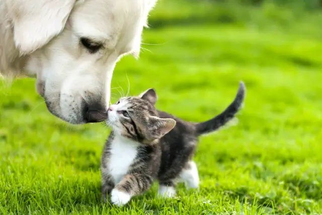 Больной от больничных микробов