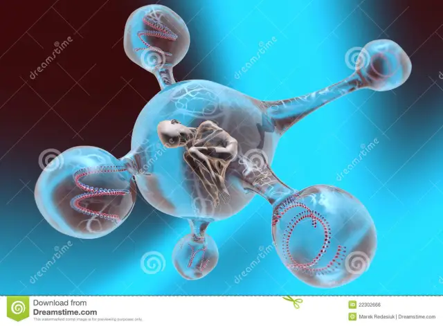 Искусственное осеменение: вероятность мертворождения в 4 раза выше