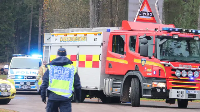 Уничтожить споры плесени спиртом