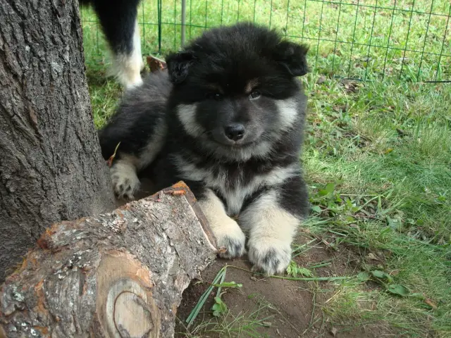 Жара: первая помощь при тепловом ударе & Солнечный удар