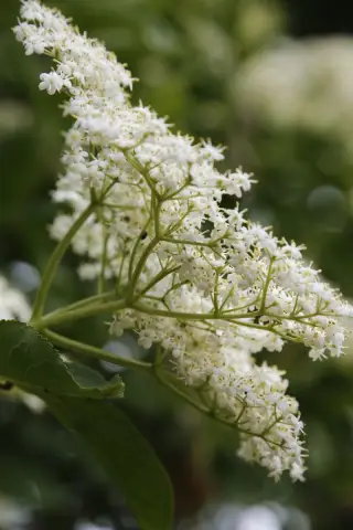 Сауны полезны в любое время года