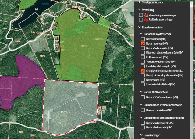 Быстрая ходьба снижает риск тромбоза