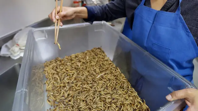 Неограниченная натуропатия в Европе